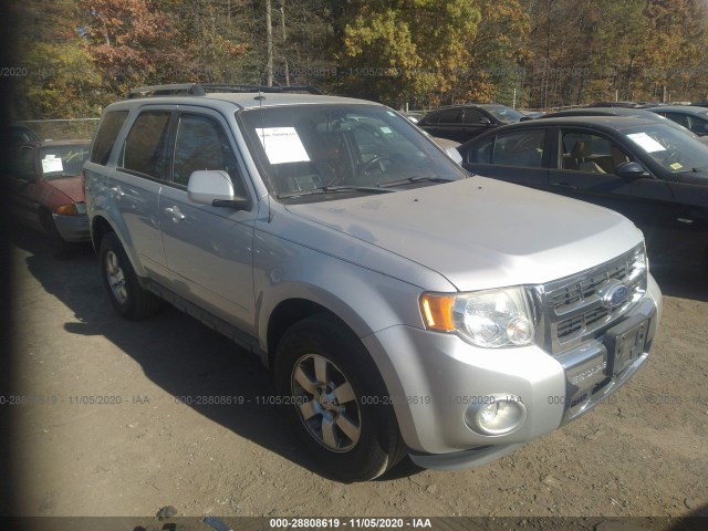 Ford Escape (2011)