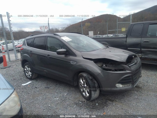 Ford Escape (2014)