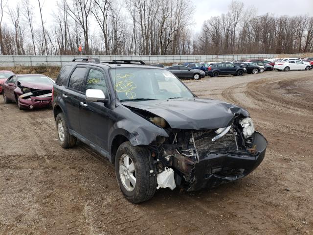 Ford Escape xlt (2010)