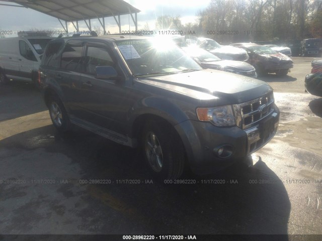 Ford Escape (2010)