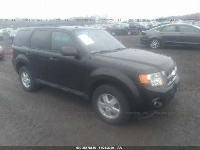 Ford Escape (2012)