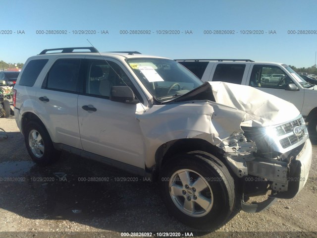 Ford Escape (2010)