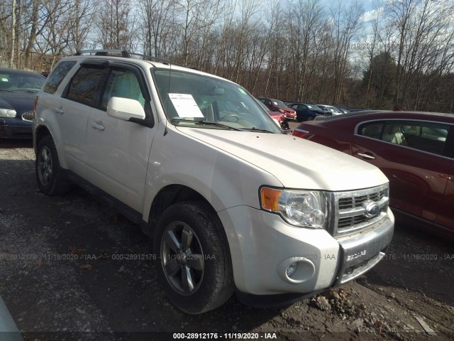Ford Escape (2012)