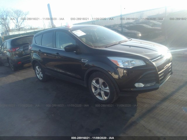 Ford Escape (2014)