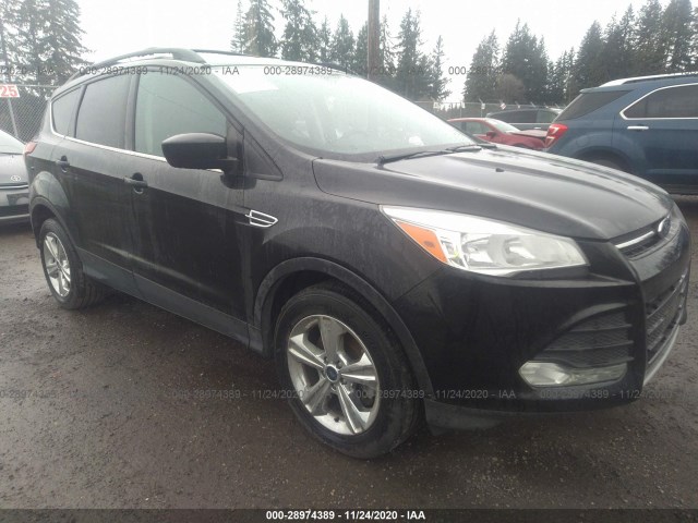 Ford Escape (2015)
