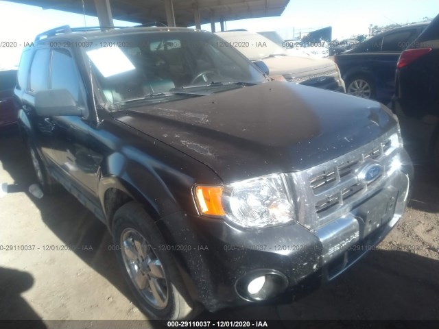 Ford Escape (2011)