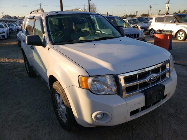 Ford Escape xlt (2011)