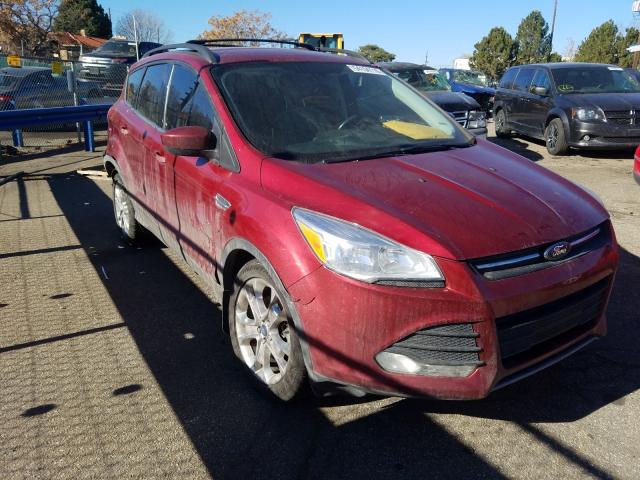 Ford Escape se (2014)