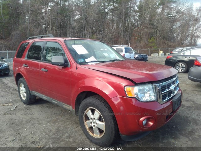 Ford Escape (2010)