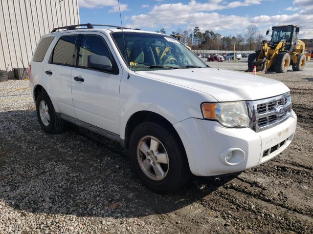 Ford Escape xlt (2010)