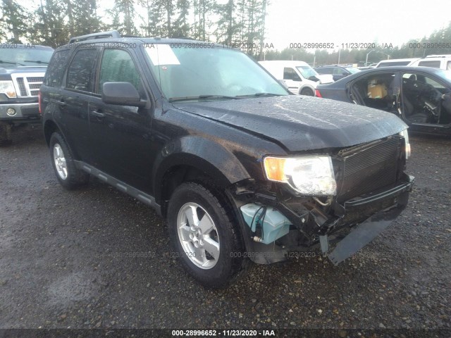 Ford Escape (2010)
