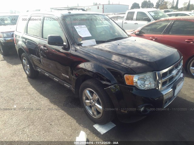 Ford Escape (2010)