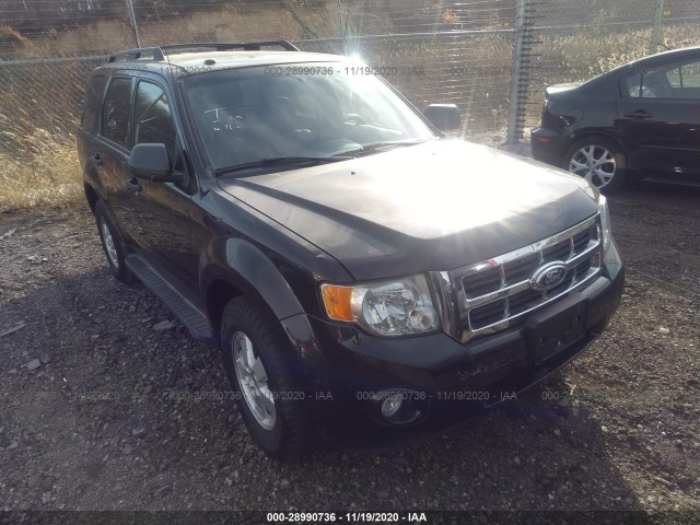 Ford Escape (2011)