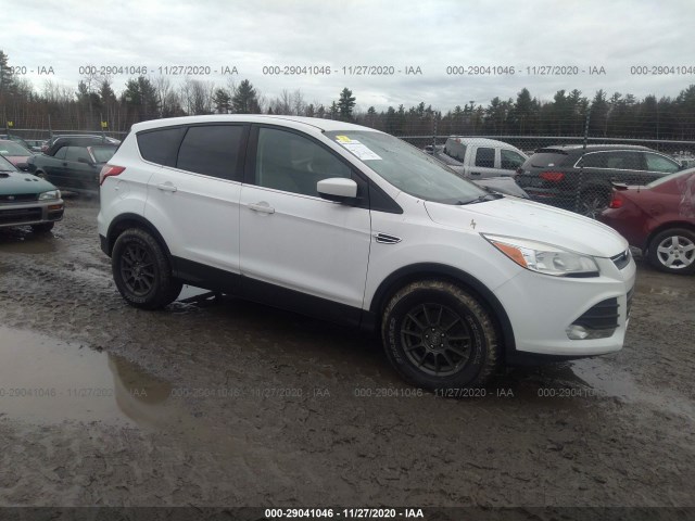 Ford Escape (2014)
