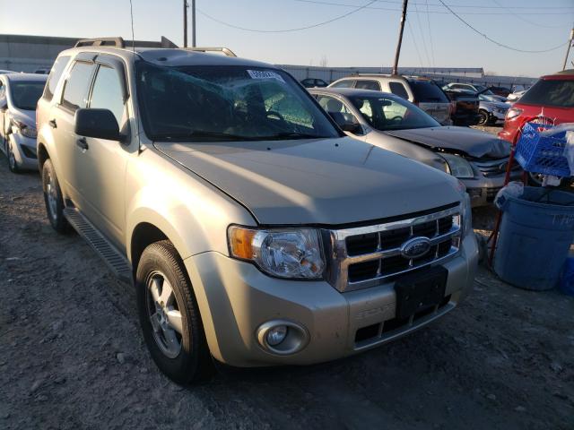 Ford Escape xlt (2010)