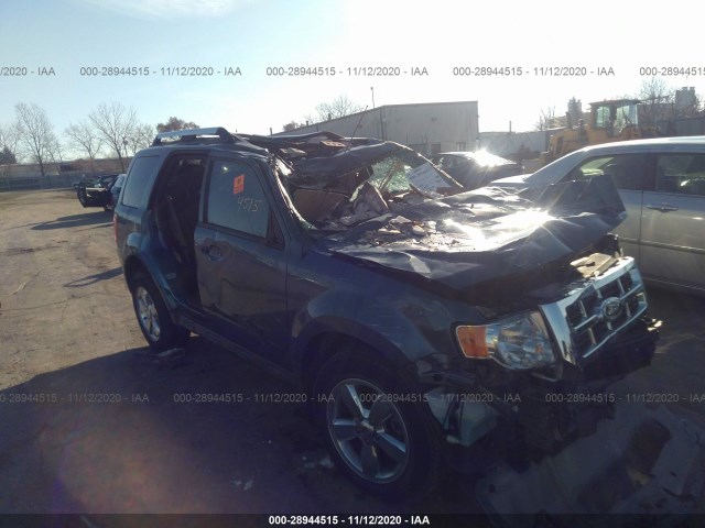 Ford Escape (2012)