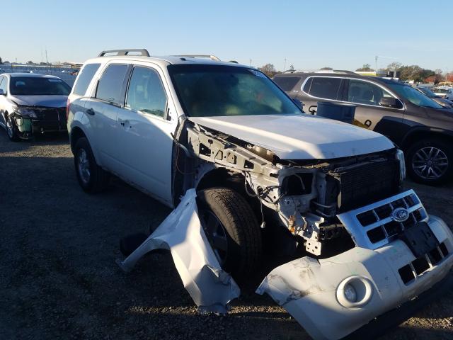 Ford Escape xlt (2011)