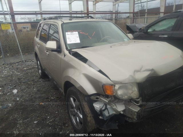 Ford Escape (2011)