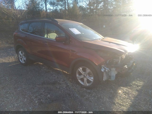 Ford Escape (2014)
