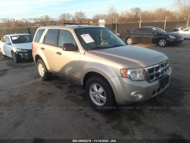 Ford Escape (2010)