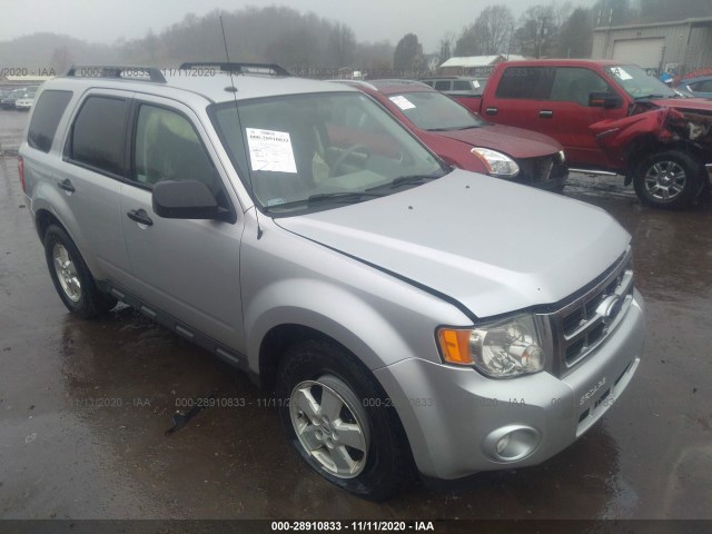 Ford Escape (2010)
