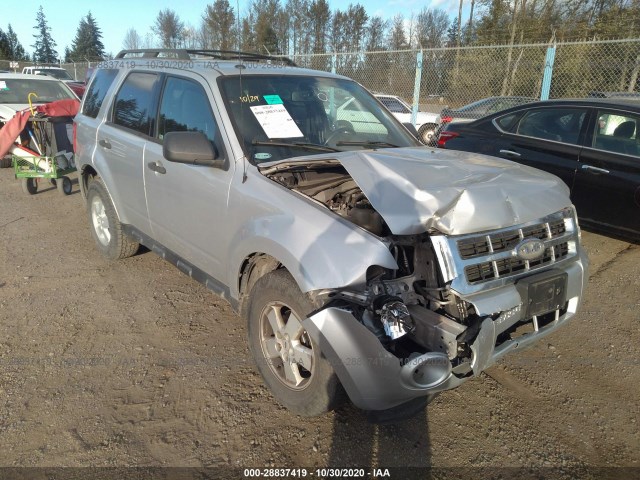 Ford Escape (2010)