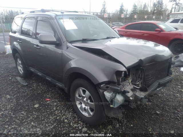 Ford Escape (2010)