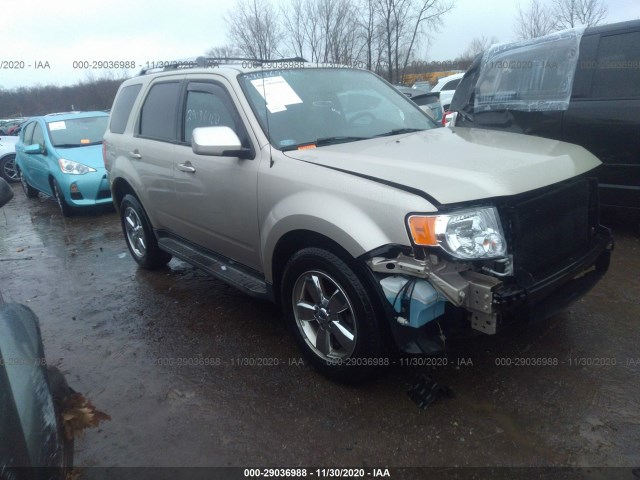 Ford Escape (2012)