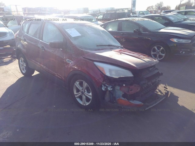 Ford Escape (2014)