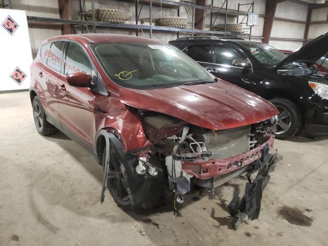 Ford Escape se (2014)