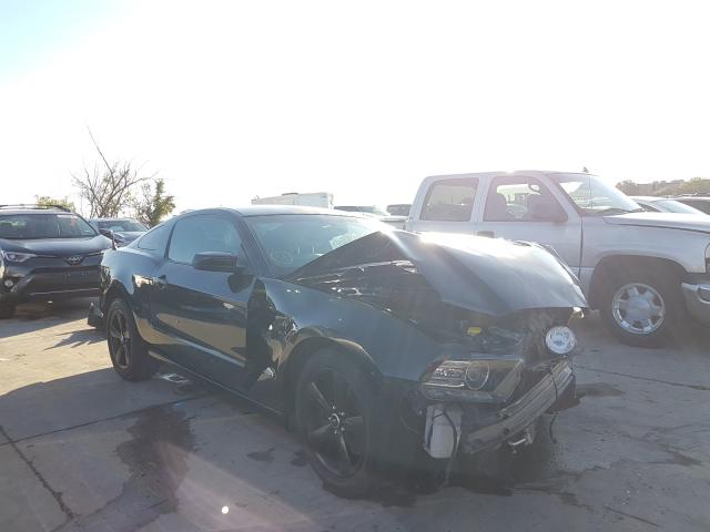 Ford Mustang gt (2014)