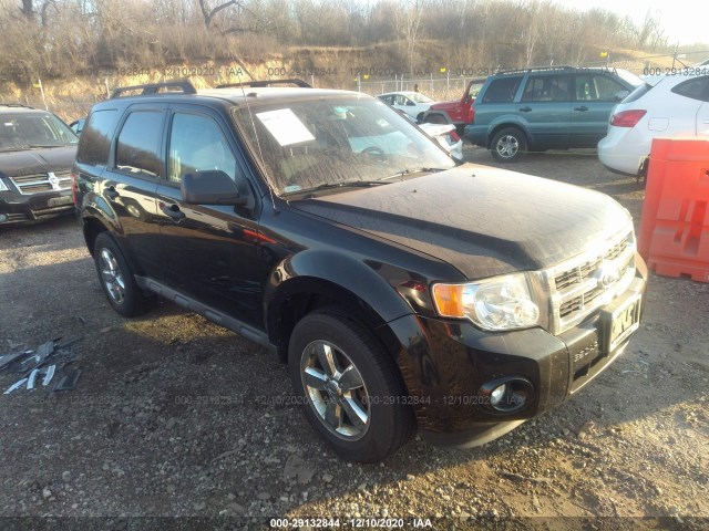 Ford Escape (2010)