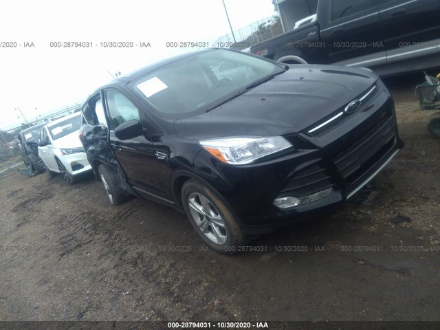 Ford Escape (2014)