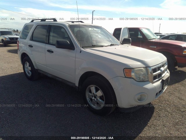 Ford Escape (2010)