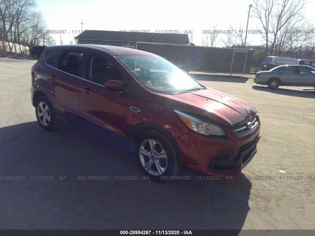 Ford Escape (2014)