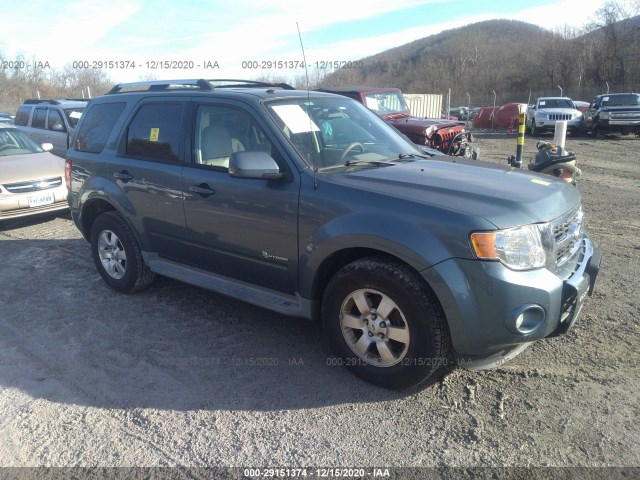 Ford Escape (2011)