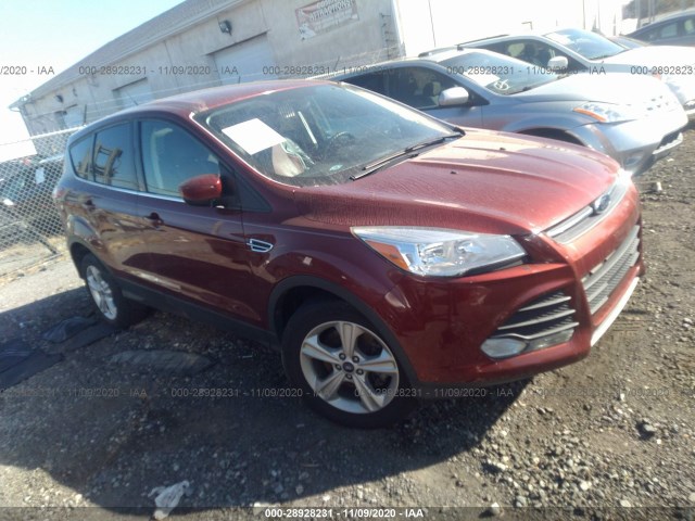 Ford Escape (2014)