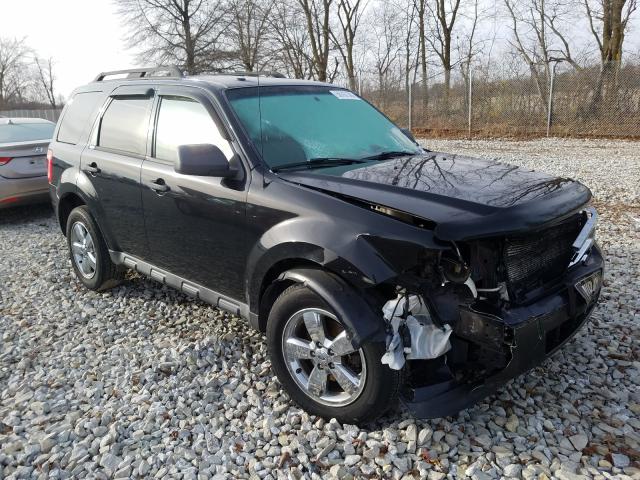 Ford Escape xlt (2011)