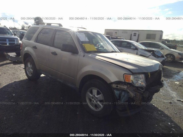 Ford Escape (2010)