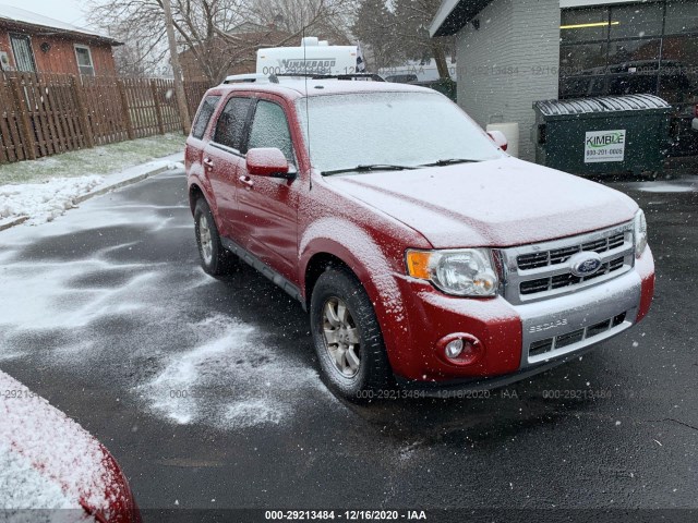Ford Escape (2010)