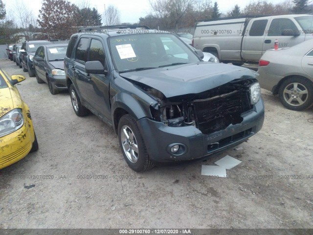 Ford Escape (2010)