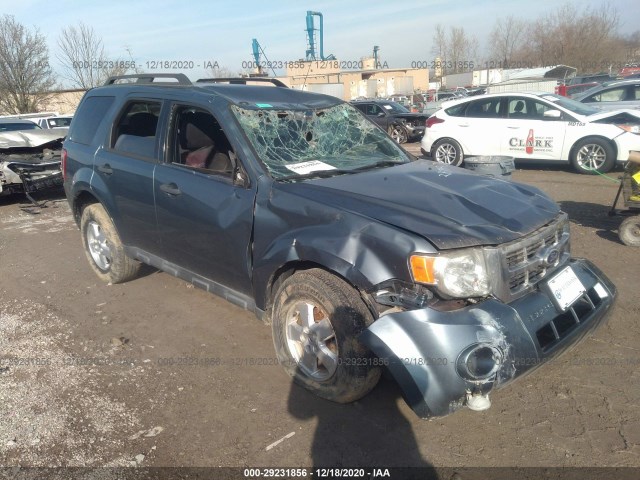 Ford Escape (2010)