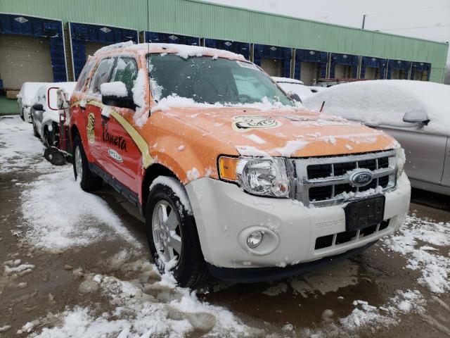Ford Escape xlt (2010)