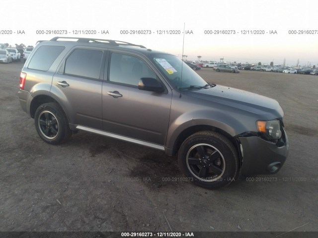 Ford Escape (2011)