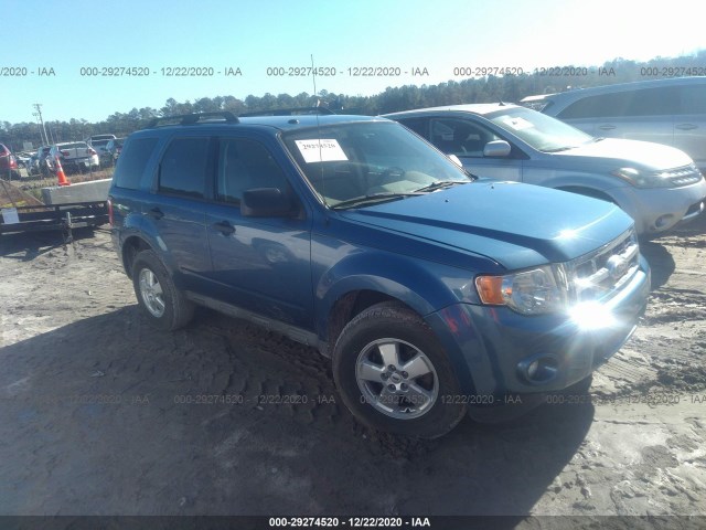 Ford Escape (2010)