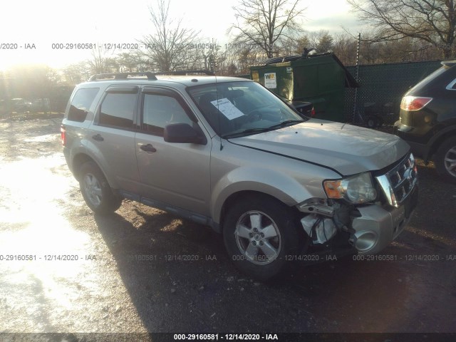 Ford Escape (2010)