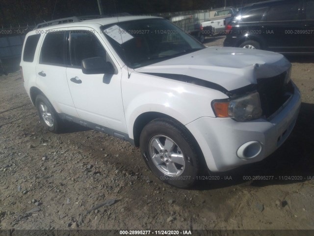 Ford Escape (2010)
