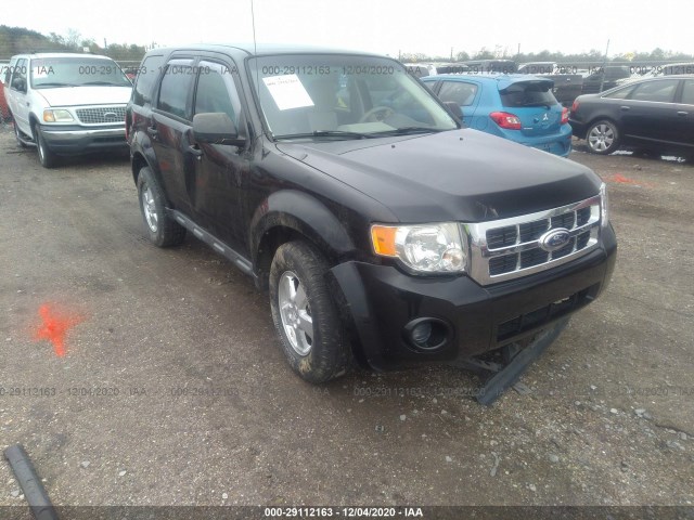 Ford Escape (2011)