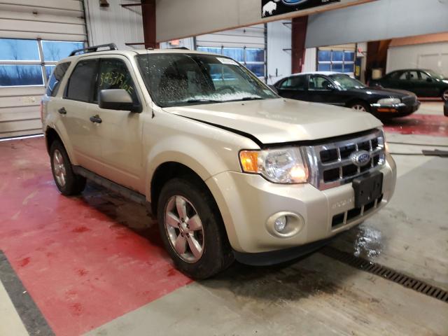 Ford Escape xlt (2011)