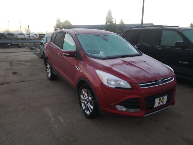 Ford Escape sel (2013)